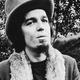 Image for article titled A beginner’s guide to the weird world of Captain Beefheart